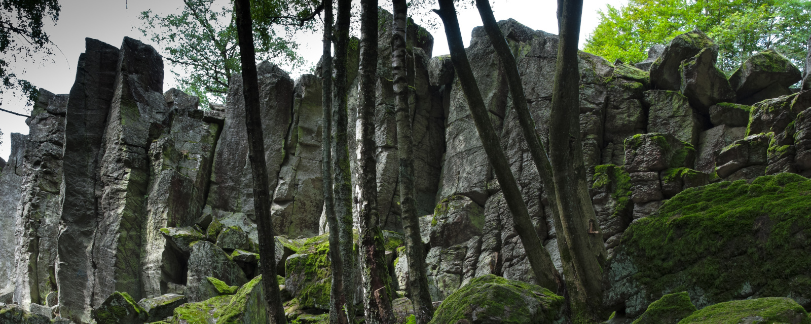Mehrwert für Unternehmer aus der Rhön